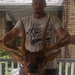 Meet your Posher, Scottie